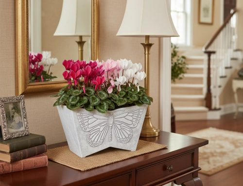 A Large Planter That Brings New Life to Spring Spaces