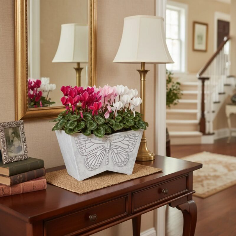 A Large Butterfly Planter A Large Butterfly Planter