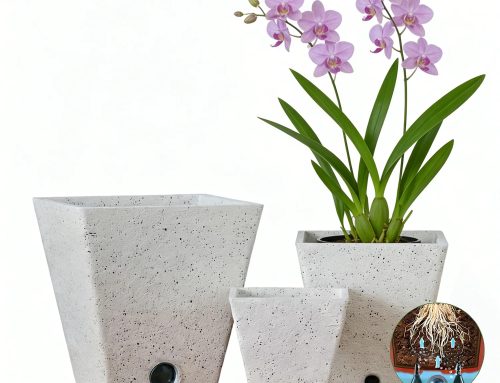 The Easy Way to Refresh Your Plant Setup with Self Watering Planters