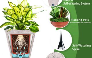 Self Watering Planters