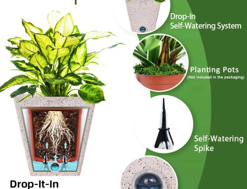 Welcome the New Season with Modern Self Watering Planters