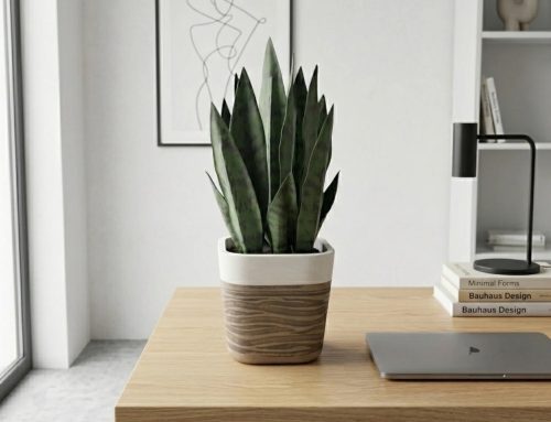 The Easy Way to Update Your Space: Artificial Snake Plant and Planter