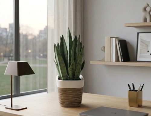 A Modern Artificial Snake Plant and Planter for Fresh Indoor Style