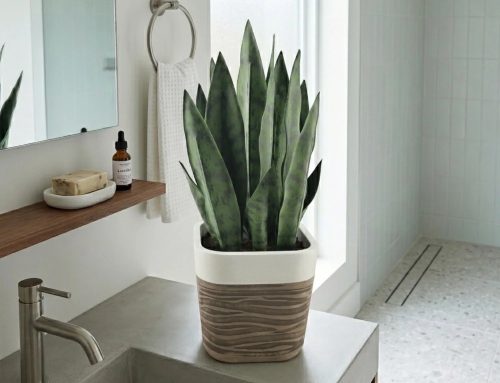 Artificial Snake Plant and Planter for Modern Spring and Summer