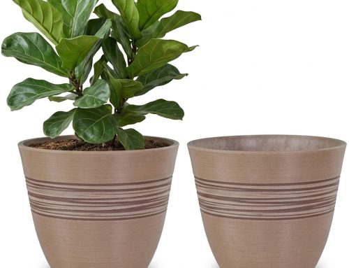 Best Pots for Herbs Outdoors That Handle Sun and Rain Beautifully