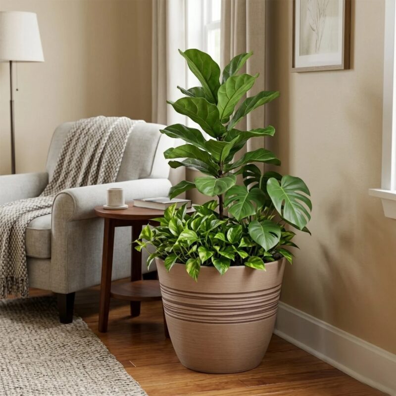 Best Pots for Outdoors and Mother's Day