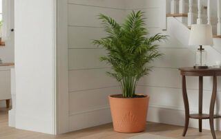 Relief Planters