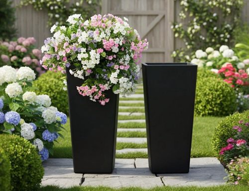 Large Planter Ideas for a Clean and Modern Garden Look