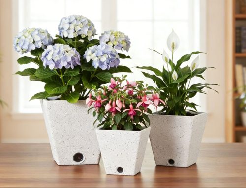 Keep Your Plants Watered While You Travel with Self-Watering Spikes