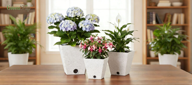 GreenShip Self Watering Spikes