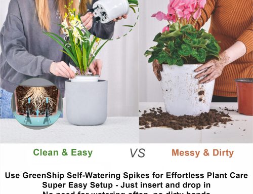Turn Any Planter into a DIY Automatic Watering System with Self-Watering Spikes