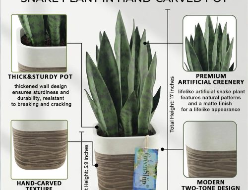 Make Your Indoor Space Feel New with an Artificial Snake Plant and Planter