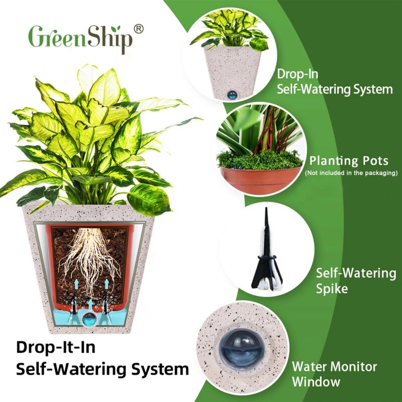 Self Watering Planters