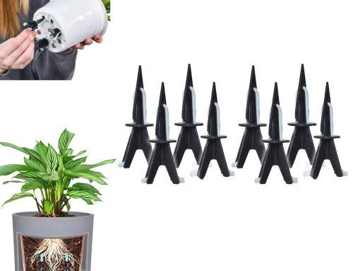 Give Your Plants a Seasonal Upgrade with Plant Watering Spikes