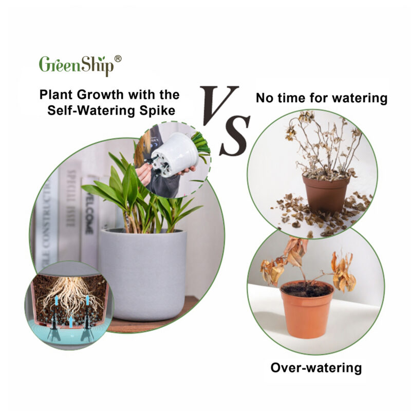 GreenShip Self Watering Spikes