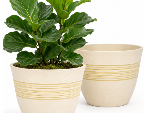 How Decorative Planters Can Transform Your Porch for Summer