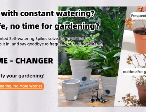 Self-Watering Spikes for Vacation: A Simple Way to Care for Plants While You Are Away