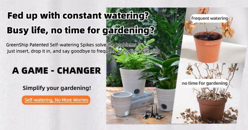 Self-Watering Spikes Self-Watering Spikes
