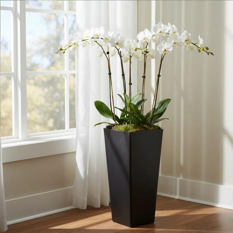 GreenShip 27 inch Tall Planter GreenShip 27 inch Tall Planter