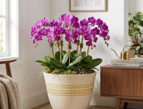 How Planter Pots with Drainage Holes Help Prevent Overwatering and Root Rot