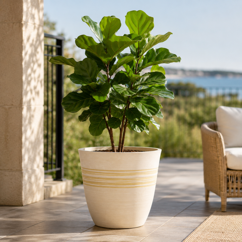 GreenShip Planter Pots GreenShip Planter Pots