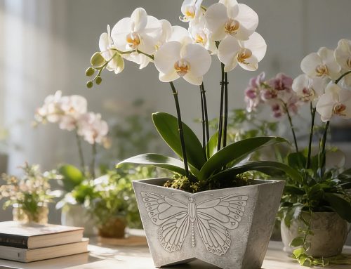 Butterfly Relief Planters for Housewarmings, Seasonal Decor, and Special Occasions