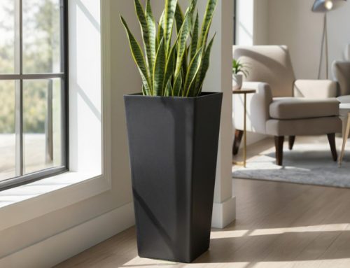 What to Plant in Tall Planters: 10 Ideas for Front Doors and Patios