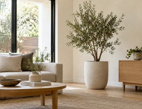 Japandi Planters: How to Create a Calm, Minimalist Space